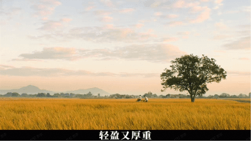 《给阿嬷的情书》海报